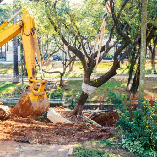 yellow construction machine removing a tree